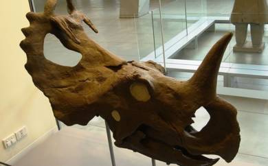 Ученые обнаружили рак кости у динозавра