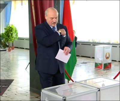 Одиночество на участке. Лукашенко опять пришел на выборы без Коли