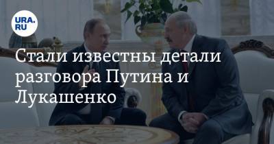 Стали известны детали разговора Путина и Лукашенко