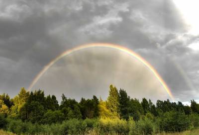 Фото: над Мурино и в окрестностях раскинулась яркая двойная радуга