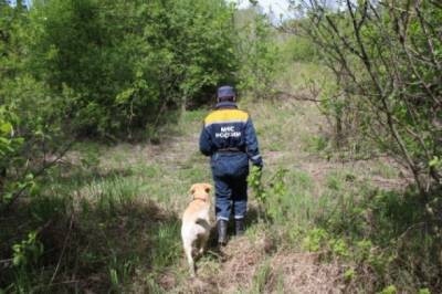 В Коми нашли троих потерявшихся в лесу мальчиков