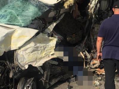 Смертельное ДТП на Житомирщине: из-за столкновения грузовика и маршрутки погибли 4 человека