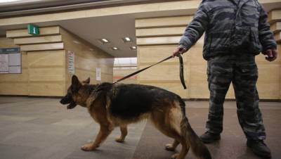 В Петербурге бомбу искали на всех станциях метро после письма из "Царьграда"