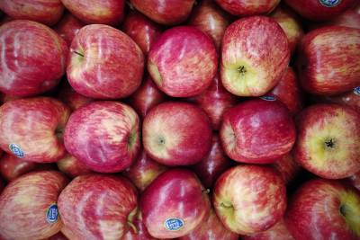 Ритейлер назвал причину роста цен на яблоки в России