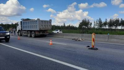 Водитель грузовика задавил насмерть дорожного рабочего в Дзержинске