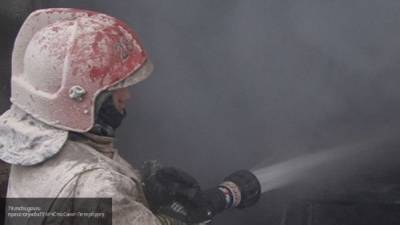 Пожар в индийском отеле с коронавирусными больными унес жизни семи человек - inforeactor.ru - India - штат Андхра-Прадеш