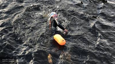 Запрет на купание в Неве не остановил проведение X-WATERS 2020 в Петербурге