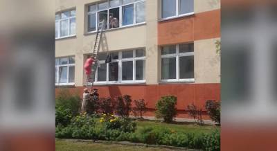 Выборы в Беларуси: женщина выбралась из окна избирательного участка по лестнице, прихватив документы (видео)