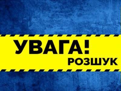 Больше его не видели: в Киеве парень прыгнул с моста и исчез