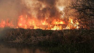 "Горим!": за неделю в Крыму случилось 118 пожаров – данные МЧС