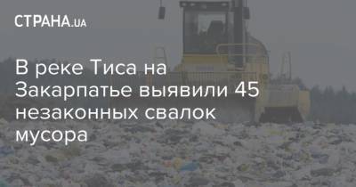 В реке Тиса на Закарпатье выявили 45 незаконных свалок мусора