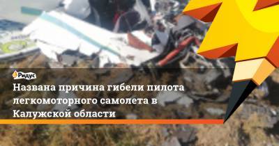 Названа причина гибели пилота легкомоторного самолета в Калужской области