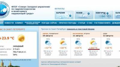 Гидрометцентр обещает петербуржцам жару в +217 градусов Цельсия