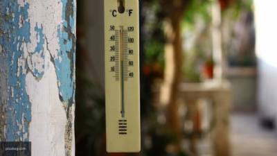 Резкое похолодание придет в Ростовскую область на следующей неделе