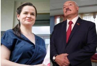 Обнародованы предварительные результаты выборов президента Беларуси