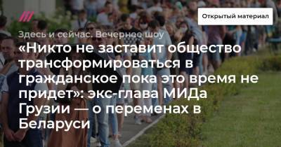 «Никто не заставит общество трансформироваться в гражданское пока это время не придет»: экс-глава МИДа Грузии — о переменах в Беларуси