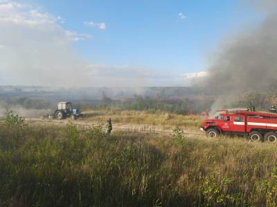На Луганщине снова масштабный пожар: горит камыш на прудах