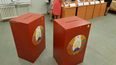 В Российском общенародном союзе оценили данные экзитпола на выборах в Белоруссии