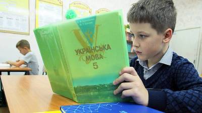 Учебный год в ДНР пройдет без украинского языка