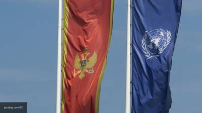 Лидер оппозиции Черногории выступил против антироссийских санкций