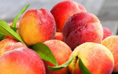 Грузия экспортировала уже свыше 23 тысяч тонн персиков и нектаринов