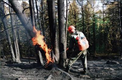 На борьбу с пожарами в Красноярском крае переброшен лесной спецназ
