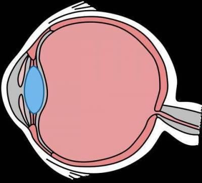 О причинах глаукомы, её симптомах и профилактике