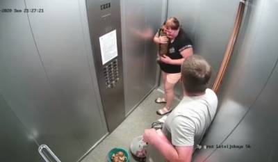 Мужчина зверски избил собаку в лифте (ВИДЕО) 18+