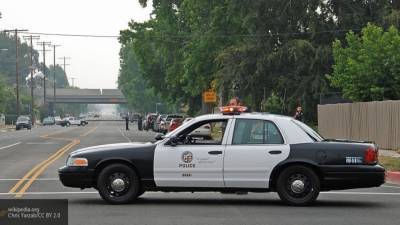 Полицейские Лос-Анджелеса застрелили темнокожего при задержании