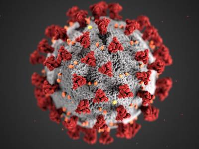 Ученые выяснили, как коронавирус «ведет себя» осенью
