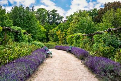 Ботанический сад Берлина — райский уголок на земле