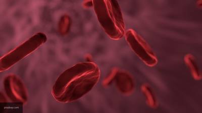 Группа крови может указывать на предрасположенность к долголетию