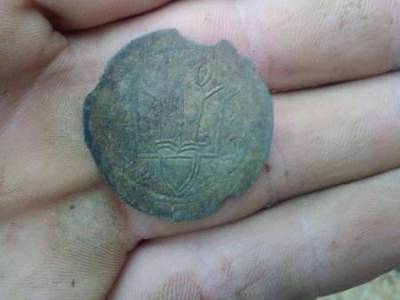 На Житомирщине продолжают находить старинные монеты