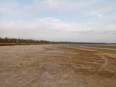 Экологи сообщили об исчезновении лечебного озера в Челябинской области