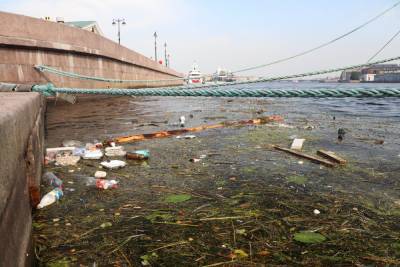 В Петербурге волонтеры займутся очисткой берегов от мусора