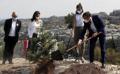 Макрон посадил кедр в Ливане, делая «рискованную ставку»