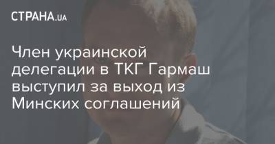 Член украинской делегации в ТКГ Гармаш выступил за выход из Минских соглашений