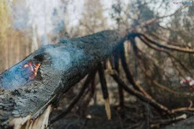 Забайкалье получит 200 млн р. от федерации на борьбу с пожарами
