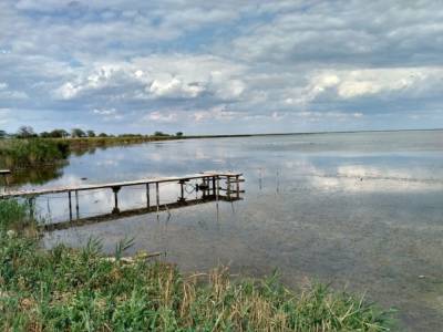 Озеро Сасык в Одесской области нельзя соединять с морем: водоём погибнет - эколог