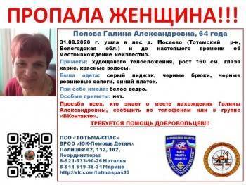 Жительница Тотемского района с красными волосами и белым ведром пропала в лесу - vologda-poisk.ru - район Тотемский