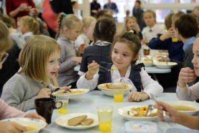 На бесплатное горячее питание для школьников в Петербурге выделят 1,17 млрд рублей