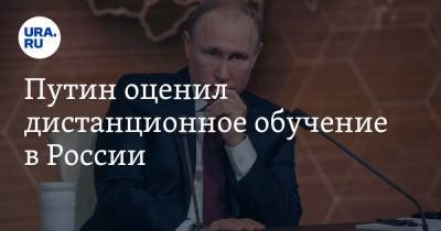Путин оценил дистанционное обучение в России