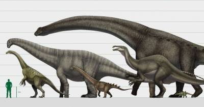 Ученые рассказали, как «взвешивают» динозавров
