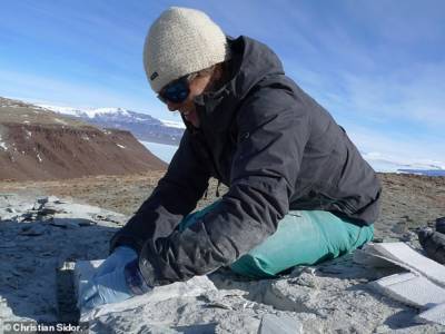 Ученые разгадали тайну «монстра», жившего в Антарктиде 250 миллионов лет назад