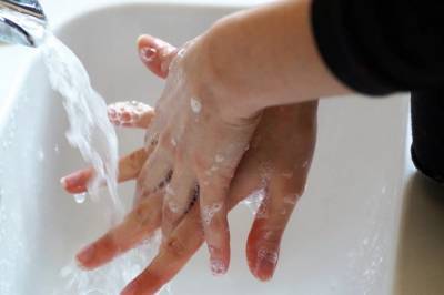 Не увлекаться пиццей и мыть руки: советы родителям липецких школьников