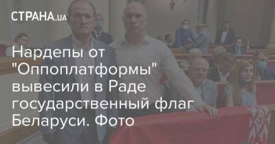 Нардепы от "Оппоплатформы" вывесили в Раде государственный флаг Беларуси. Фото