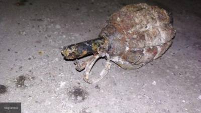 Похожий на гранату предмет обнаружили на школьном стадионе в Мурино