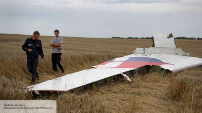 Голландский журналист раскрыл, что думают родственники жертв о деле MH17