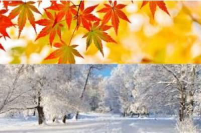 Осень и зима готовят украинцам сюрпризы. Прогноз от ведущих синоптиков