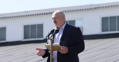 Лукашенко — о санкциях стран Балтии: "Им дали команду "фас", они и вякнули из-под забора"
